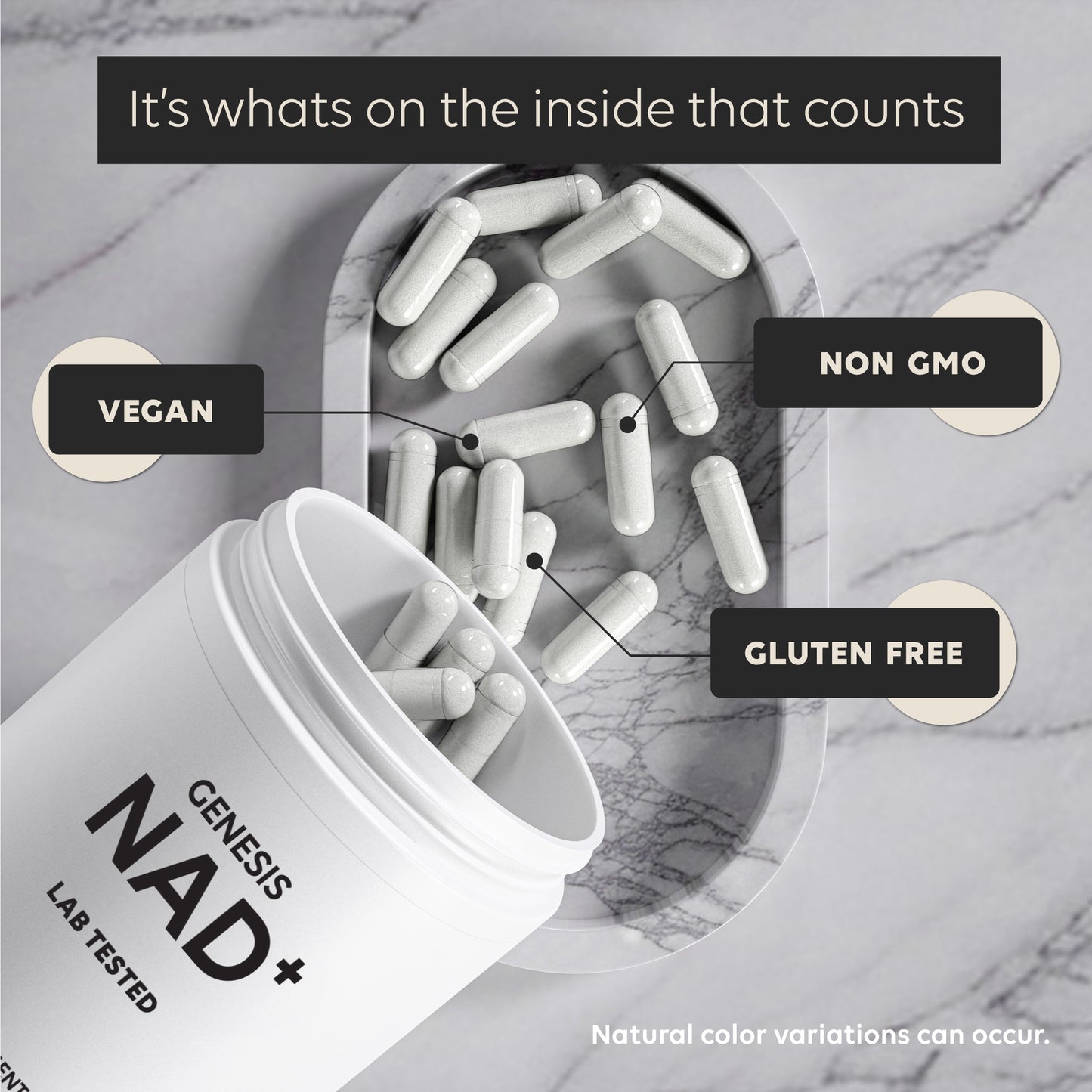 Gensis NAD+
