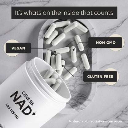 Gensis NAD+